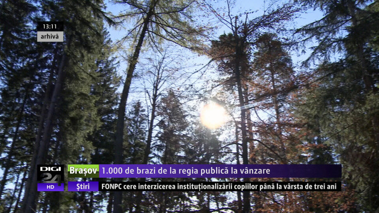 1.000 de brazi de la regia publica, la vanzare Imagine