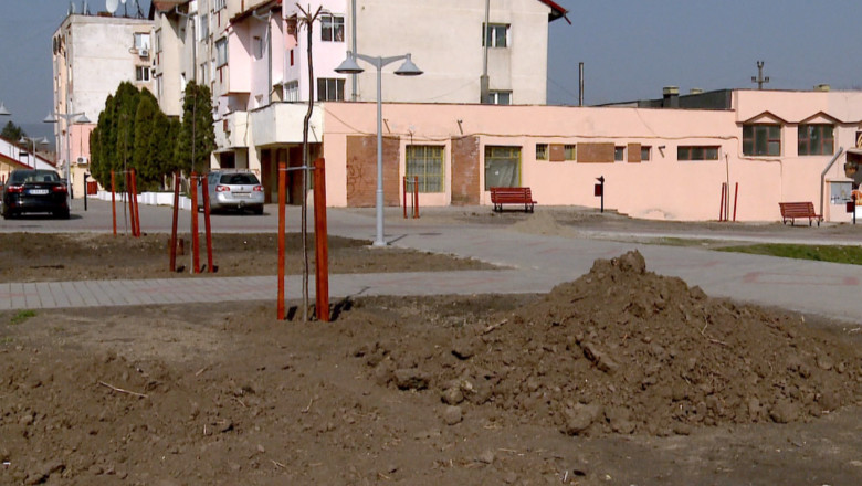 1.000 de euro pentru ciresi japonezi in centrul unei comune din Iasi Imagine