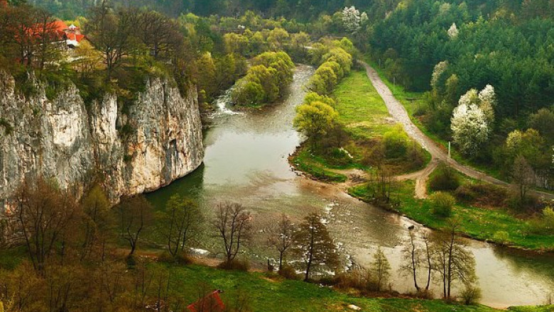 100 de ani de cercetasie, sarbatoriti la Suncuius, in Bihor Imagine