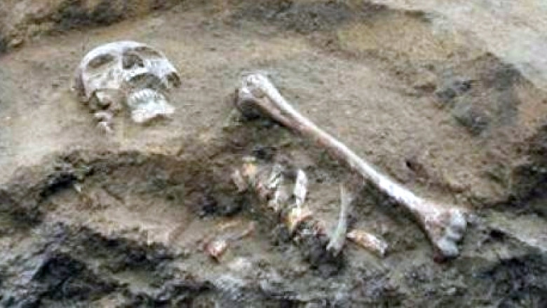 12 morminte din perioada romana tarzie, descoperite de arheologi in centrul Constantei Imagine