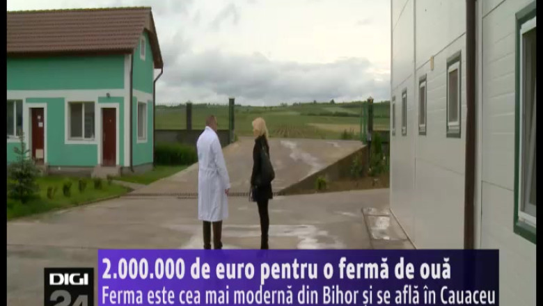 2.000.000 de euro pentru cea mai moderna ferma de oua din Bihor Imagine