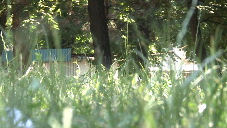 20 de ieseni au ajuns la spital intepati de capuse Imagine