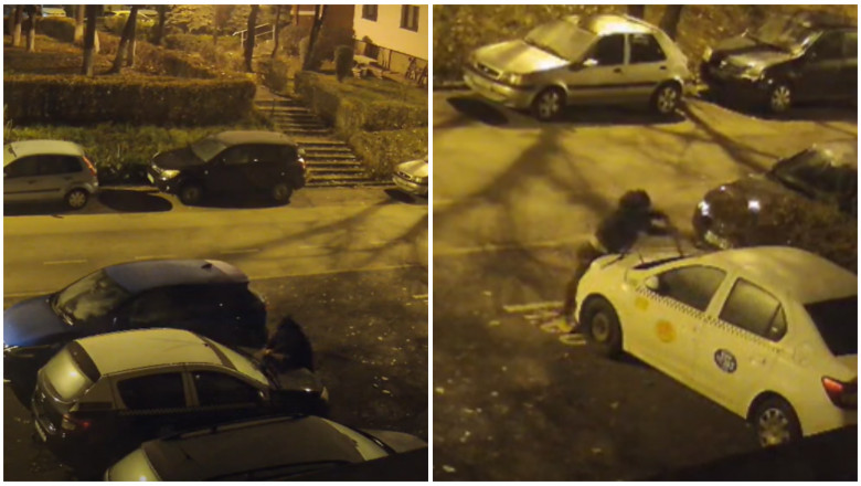 23 de masini vandalizate, pe o strada din Cluj-Napoca. Politistii ii cauta pe faptasi Imagine