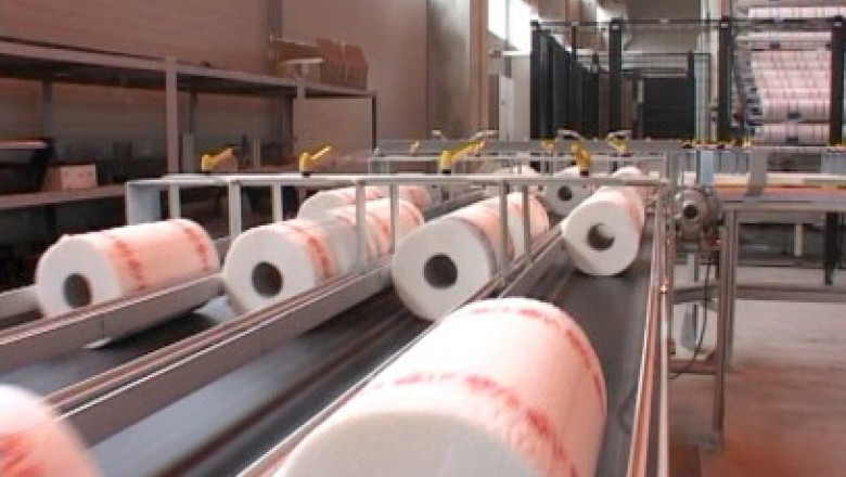 3.000 de cereri de angajare pentru 400 de locuri de munca la fabrica de hirtie din Turnu Severin Imagine