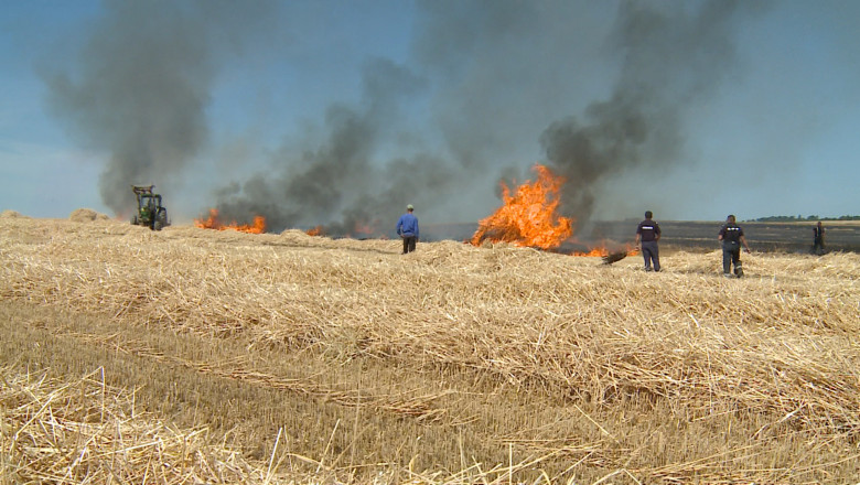 30 de hectare cu orz, cuprinse de flacari langa o comuna din Bihor Imagine