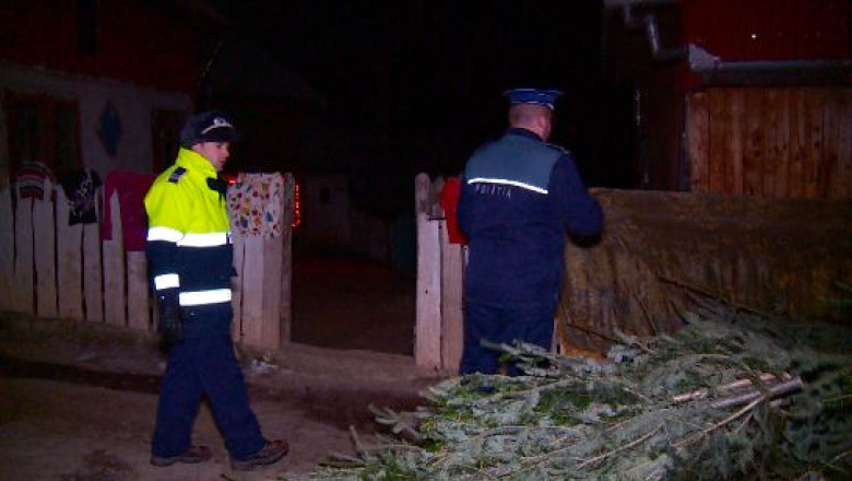 300 de brazi, confiscati de politisti Imagine