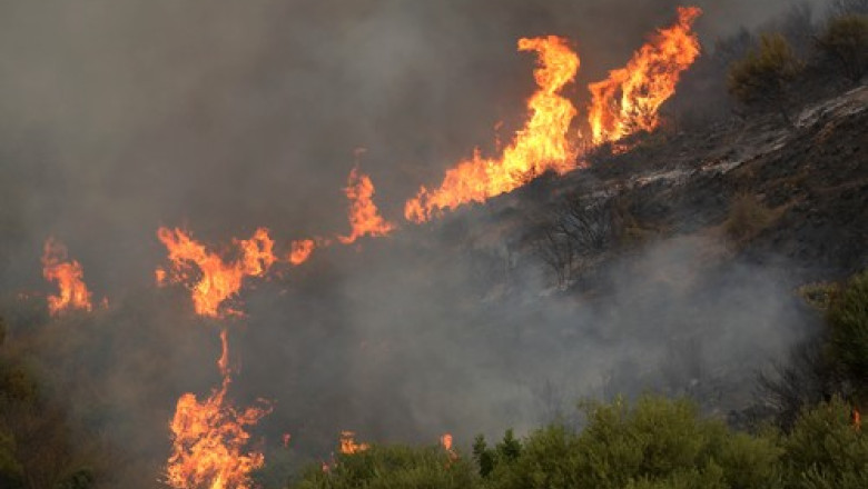 34 de oameni au murit in urma incendiilor de vegetatie din Algeria, printre care si 10 soldati Imagine