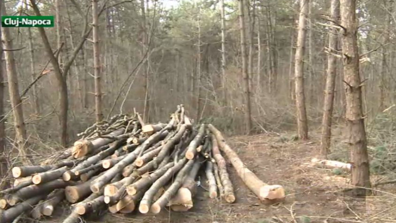 37 de perchezitii intr-un dosar de evaziune Imagine