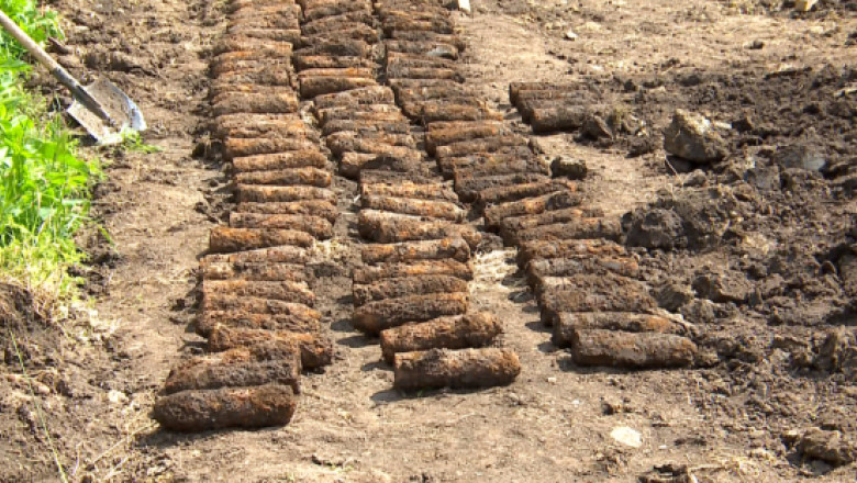 450 de proiectile neexplodate au fost gasite intr-o padure din judetul Vaslui Imagine