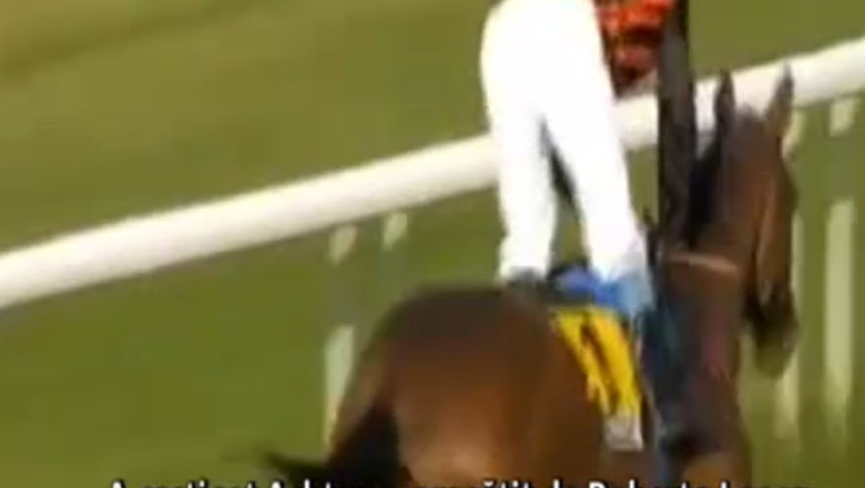 5 minute spaniole. Victoria unui cal de curse impresioneaza intreaga Spanie Imagine