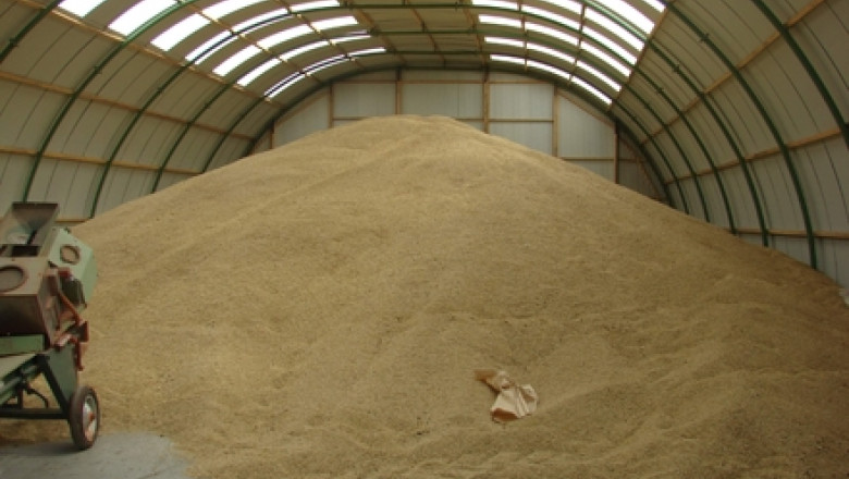 6 milioane de kilograme de grau, disparute din rezerva de stat. Administratorul Comcereal Bihor este audiat de politisti Imagine