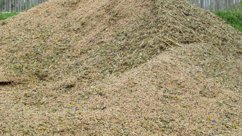 7 tone si jumatate de cereale, descoperite intr-un transport ilegal Imagine