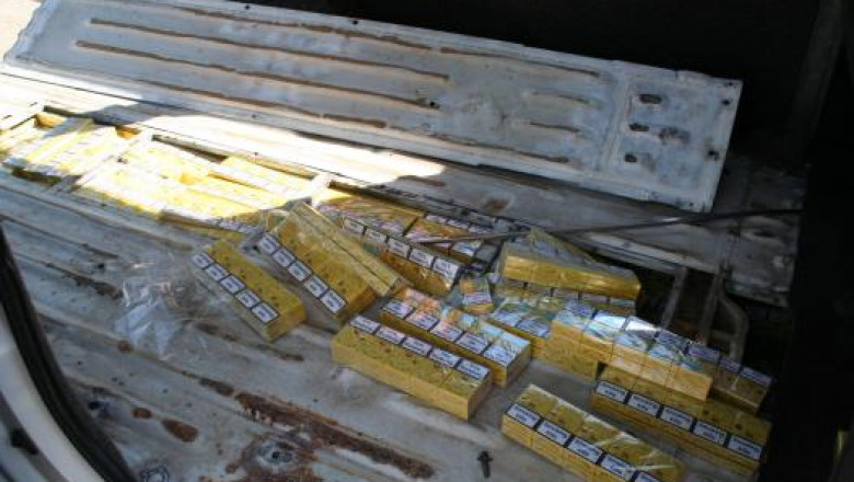 75 de mii de tigari de contrabanda, descoperite in vama Bors Imagine