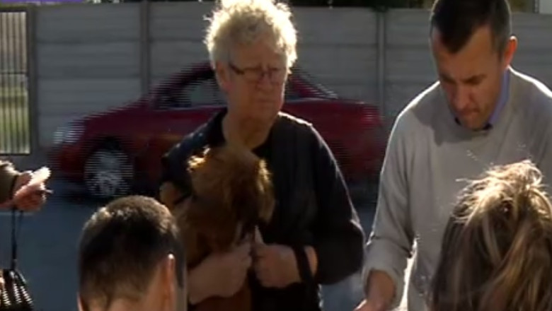 8.000 de caini marcati la Oradea. Proprietarii au ales sa le puna microcip de teama amenzilor mari Imagine