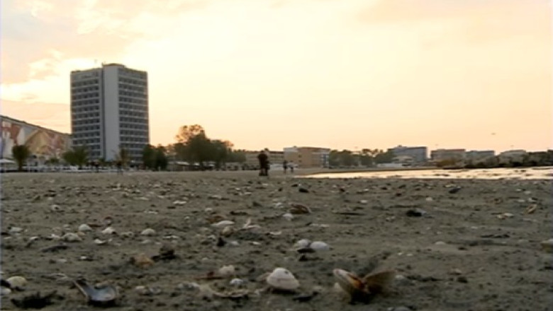 80 de tone de gunoaie au ramas pe plaje Imagine