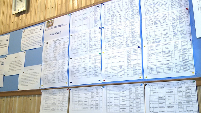 870 de locuri de munca pentru somerii din Iasi Imagine