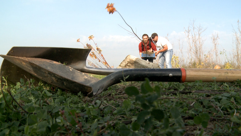 89 de arbori au fost plantati in Oradea, in memoria victimelor accidentului din 1971, de la Certej (FOTO) Imagine
