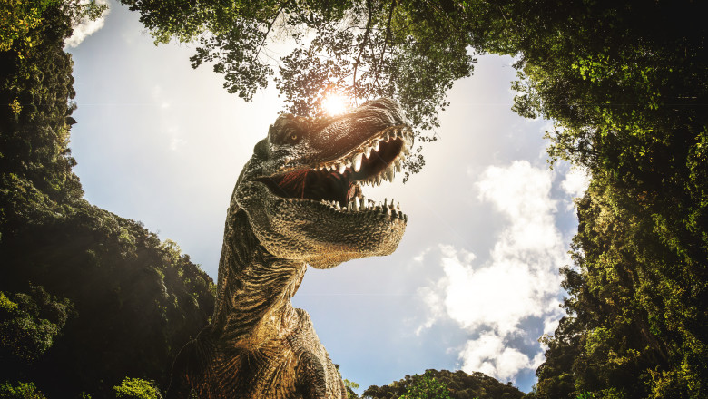 A fost descoperita o noua specie de dinozaur. Cercetatorii spun ca ar putea schimba tot ce se stia despre evolutia lui T. Rex Imagine