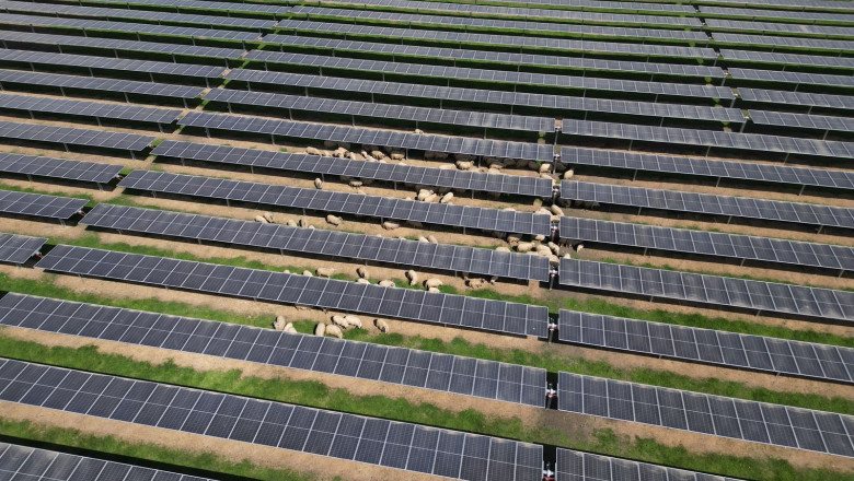 A fost finalizat cel mai mare parc fotovoltaic finantat prin PNRR de Ministerul Energiei Imagine