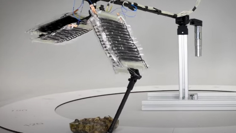 A fost inventat primul picior robotic cu „muschi artificiali”. Ce implicatii are aceasta tehnica pentru robotii umanoizi Imagine