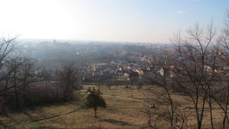 A inceput amenajarea Dealului Ciuperca. Lucrarile vor costa peste 1.700.000 de euro Imagine