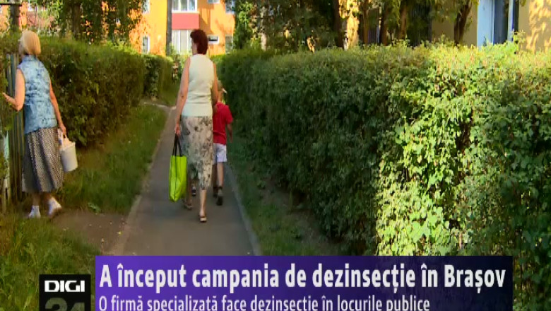 A inceput campania de dezinsectie in Brasov Imagine