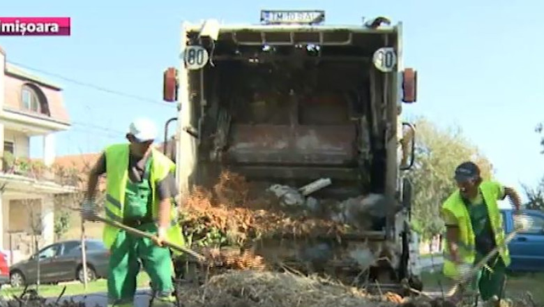 A inceput curatenia de toamna. Intre 13 si 19 octombrie, adunarea deseurilor are loc in partea de nord a Timisoarei Imagine
