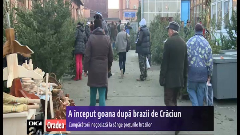A inceput goana dupa brazii de Craciun. Cumparatorii negociaza la sange preturile Imagine