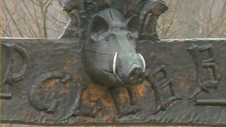 A inceput goana dupa mistreti la Balc Imagine