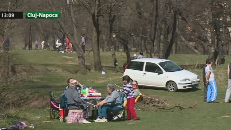 A inceput "atacul" capuselor Imagine