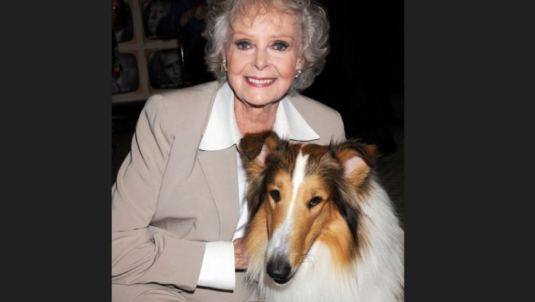 A murit June Lockhart, celebra pentru rolurile din „Lassie” si „Lost in space”. Actrita avea 100 de ani Imagine