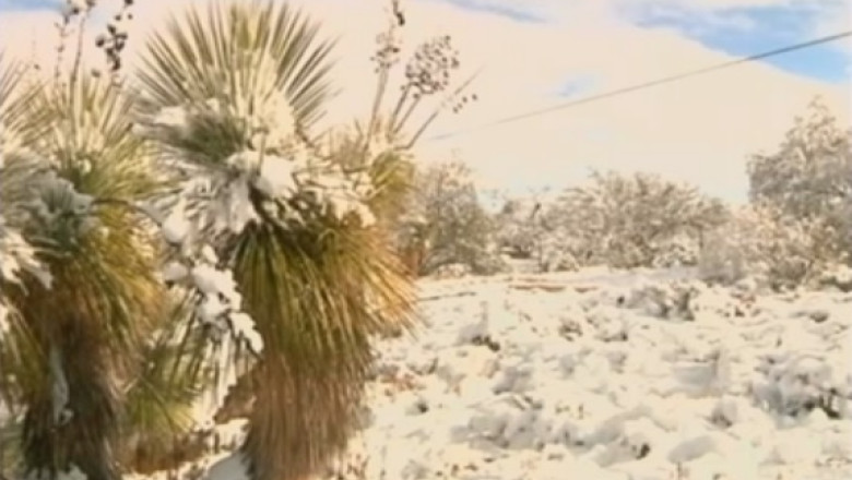 A nins in desertul Arizona. Vremea rea a provocat accidente in lant in SUA Imagine