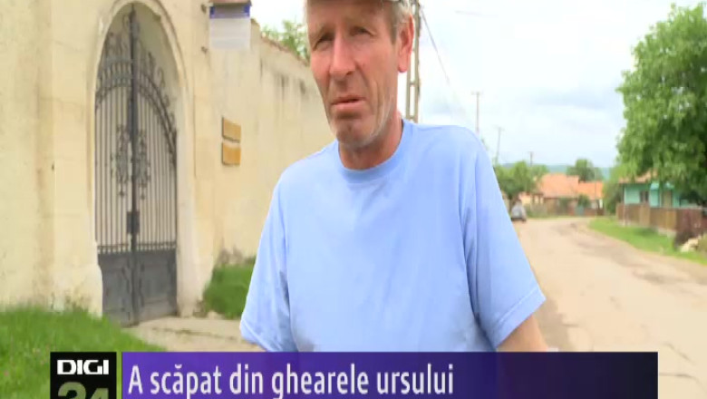 A scapat din ghearele ursului Imagine