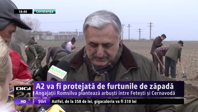 A2 va fi protejata de furtunile de zapada. Angajatii Romsilva planteaza arbusti intre Fetesti si Cernavoda Imagine