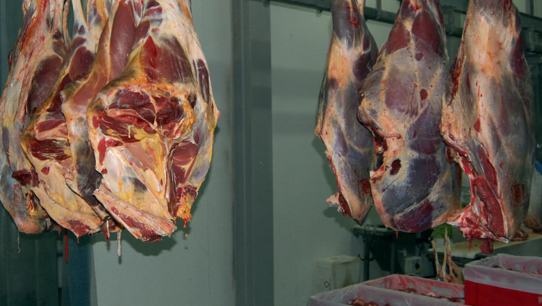 Abator clandestin, descoperit in Bihor Imagine