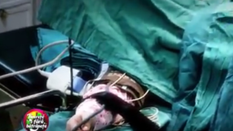 Abuzurile prin care trec femeile la nastere. "Rezidentii ma tineau de picioare, moasele se urcau pe burta mea" Imagine