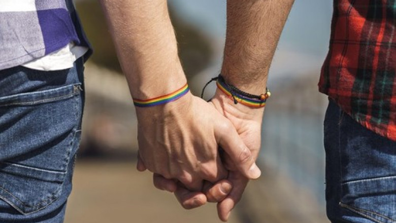 ACCEPT condamna „gestul rusinos” al Guvernului de a contesta hotararea CEDO privind recunoasterea legala a cuplurilor LGBT Imagine