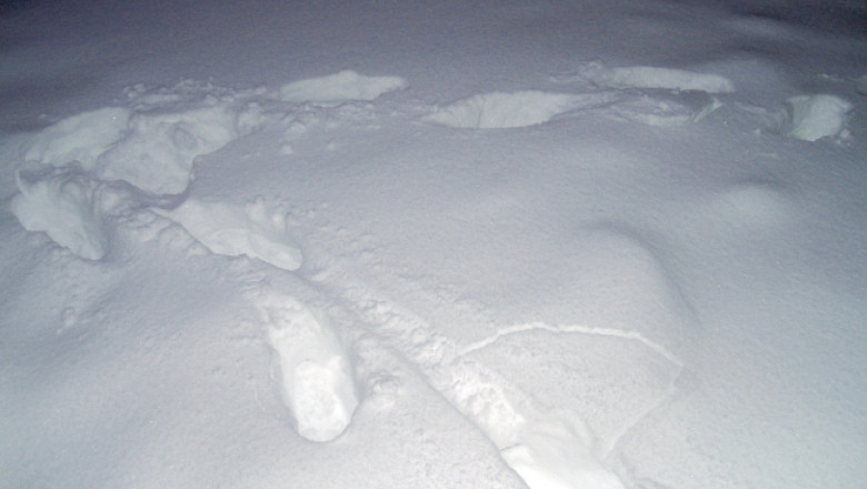 ACCIDENT AVIATIC. Cel mai important detaliu dupa care s-au ghidat localnicii cautatori: zapada avea 30 de centimetri Imagine