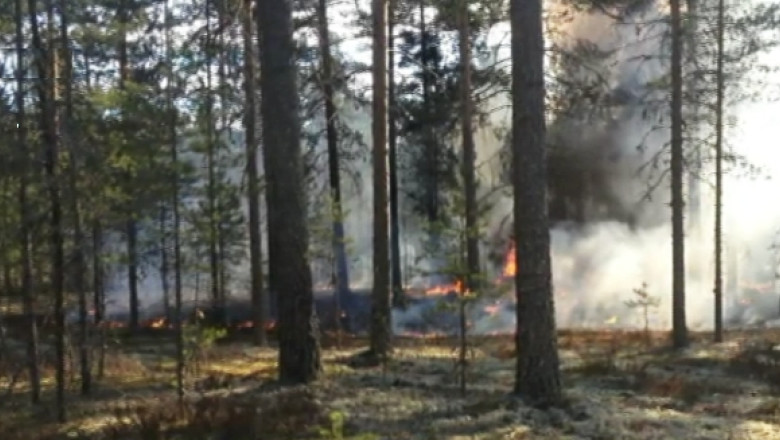 Accident aviatic in Finlanda. Cel putin opt oameni au murit Imagine