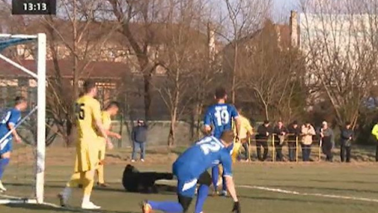 ACS Poli Timisoara, inca doua transferuri Imagine