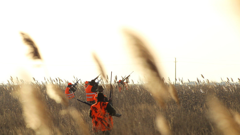 Actiune de amploare a politistilor contra braconajului cinegetic. Aproape 2.000 de ciocarlii, vanate ilegal  Imagine