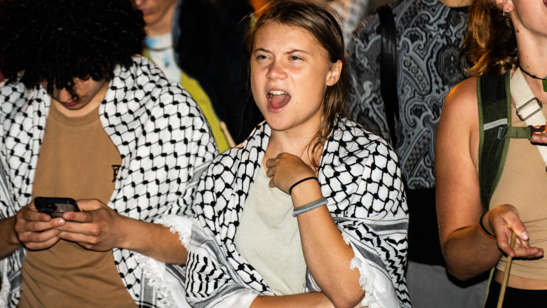 Activista suedeza Greta Thunberg acuza Israelul de tratament inuman: „Am fost rapita si torturata” Imagine