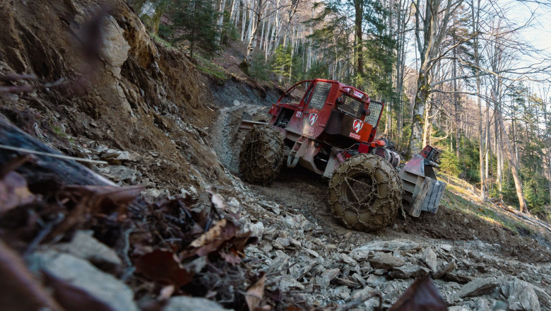 Activisti de mediu: IKEA contribuie la degradarea rapida a padurilor din Romania si incalca legislatia UE/ Reactia companiei Imagine