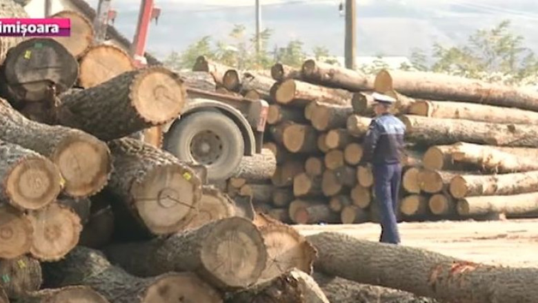 Adam Craciunescu, cercetat acum pentru abuz in serviciu: 34 de ani in domeniul forestier Imagine
