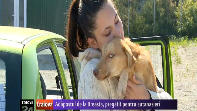 Adapostul de la Breasta, pregatit pentru eutanasieri   Imagine