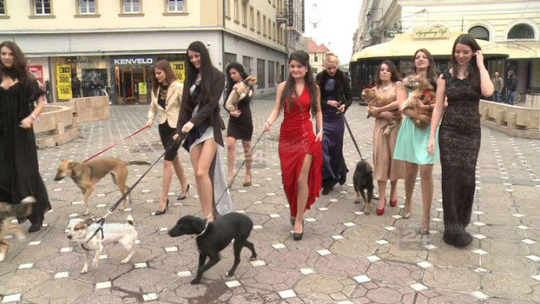 Adoptiile de caini, intr-o noua abordare la Timisoara. Trecatorii, captivati mai mult de... fete Imagine