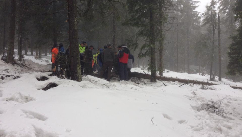 Adrian Iovan ar fi cerut amanarea zborului. Presedintele Agentiei Nationale de Transplant infirma Imagine