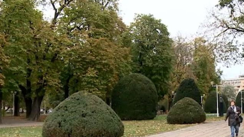 Aer de Schoenbrunn in Parcul Central din Timisoara Imagine