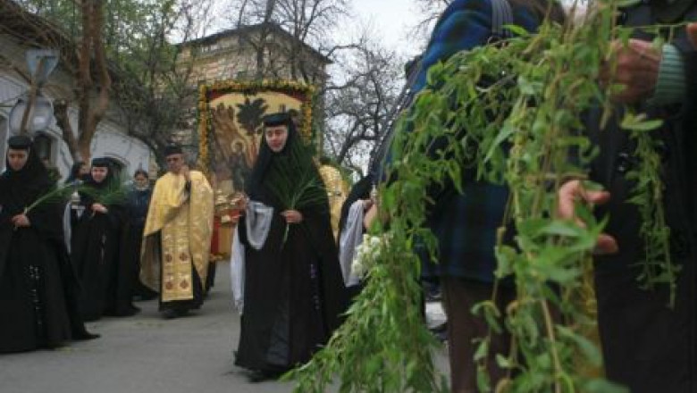 Afacere cu salcie, de Florii Imagine