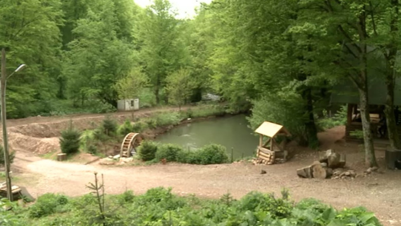 Afacere in pustietate. Doi oradeni au construit o pastravarie in mijlocul unei paduri  Imagine